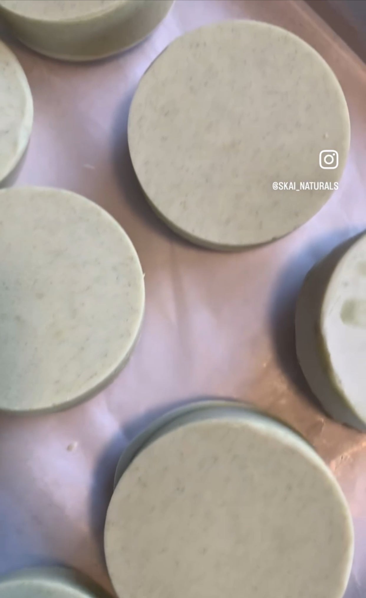 Spirulina Apple Cider Vinegar Shampoo Bar